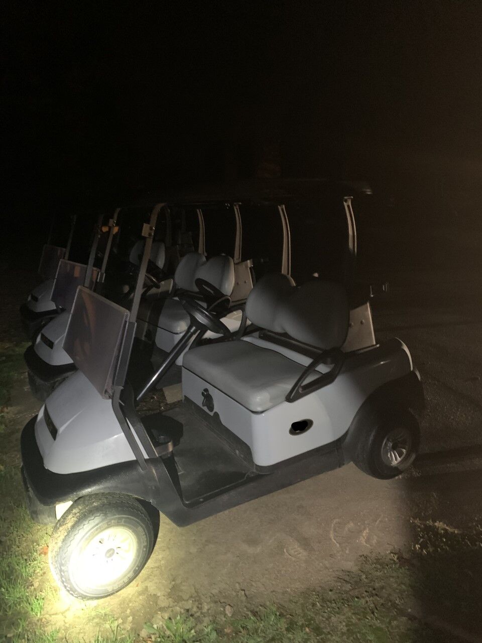 golf cart theft